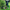 Cordless Electric Grass Trimmer - Golonzo -                                                                             