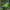 Cordless Grass Trimmer - Golonzo -                                                                             