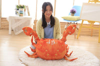 Crab Lobster Plush Creative Toys - Golonzo -                                                                             