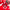 Crystal Red Rose Figurine Art - Golonzo -                                                                             
