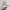 Cute Anime Character Headband Soft Hair Rope - Golonzo -                                                                             