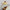 Cute Anime Character Headband Soft Hair Rope - Golonzo -                                                                             
