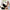 Cute Baby Fat Giant Panda Plush Stuffed Animal Doll - Golonzo -                                                                             