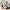 Cute Baby Fat Giant Panda Plush Stuffed Animal Doll - Golonzo -                                                                             