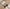 Cute Cat Paw Fluffy Winter Socks - Golonzo -                                                                             
