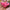 Cute Flamingo Slippers - Golonzo -                                                                             