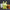 Cute Glasses Rabbit Night Light - Golonzo -                                                                             
