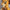 Cute Simba Doll - The Lion King Fans - Golonzo -                                                                             