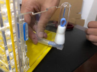 DIY Ant Nest with Feeding Area - Golonzo -                                                                             