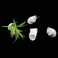 DIY Hydroponic Pots - PLANT GROW CUPS - Golonzo -                                                                             