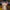 DIY LED Light Rose Balloons Bouquet - Golonzo -                                                                             