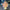 DIY LED Light Rose Balloons Bouquet - Golonzo -                                                                             