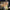 DIY LED Light Rose Balloons Bouquet - Golonzo -                                                                             