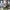 DIY LED Light Rose Balloons Bouquet - Golonzo -                                                                             
