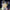 DIY LED Light Rose Balloons Bouquet - Golonzo -                                                                             