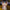DIY LED Light Rose Balloons Bouquet - Golonzo -                                                                             