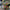 DIY LED Light Rose Balloons Bouquet - Golonzo -                                                                             