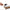 Dachshund Wine Cork Container - Golonzo -                                                                             