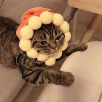Decorative Party Pet Cap - Golonzo -                                                                             