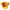 Decorative Party Pet Cap - Golonzo -                                                                             
