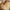 Decorative Rolling Pins - Golonzo -                                                                             