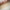 Decorative Rolling Pins - Golonzo -                                                                             