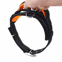 Dog Collar Leash Set - Mesh Breathable Adjustable Collars - Golonzo -                                                                             