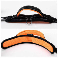 Dog Collar Leash Set - Mesh Breathable Adjustable Collars - Golonzo -                                                                             