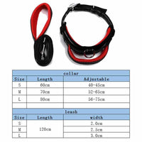 Dog Collar Leash Set - Mesh Breathable Adjustable Collars - Golonzo -                                                                             