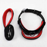 Dog Collar Leash Set - Mesh Breathable Adjustable Collars - Golonzo -                                                                             