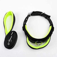 Dog Collar Leash Set - Mesh Breathable Adjustable Collars - Golonzo -                                                                             