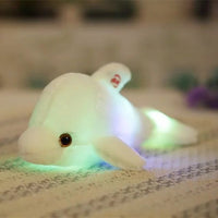 Dolphin Luminous Plush Toy - Golonzo -                                                                             
