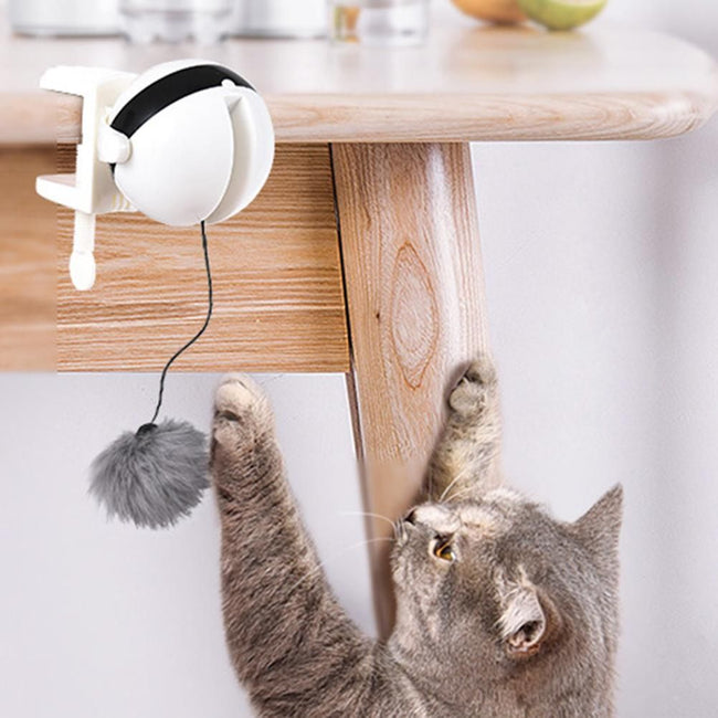 Electronic Motion Cat Toy - Golonzo -                                                                             