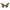 Fashion Cute Butterfly Earrings - Jewelry Errings - Golonzo -                                                                             