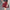 Fashion Grid Design Women's Skirt - Golonzo -                                                                             