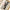 Hockey Table Sling Puck Board Games - Golonzo -                                                                             