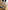 5Pairs/Lot Fashion Bamboo & Cotton  Men Socks - Golonzo -                                                                             
