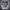 Sweaters For Men Women - Golonzo -                                                                             