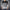 Sweaters For Men Women - Golonzo -                                         Sweater                                    