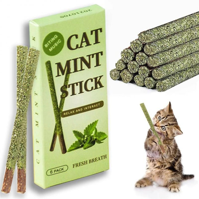 6 Sticks/box Cat Chew Toys - Natural Silver Vine Catnip - Golonzo -                                                                             
