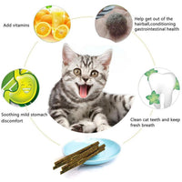 6 Sticks/box Cat Chew Toys - Natural Silver Vine Catnip - Golonzo -                                                                             