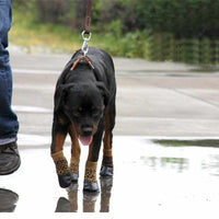 4Pcs/set High Quality Pet Snow Socks - Golonzo -                                                                             