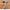 Stainless Steel Woodworkers Edge Rule-Rulers-Golonzo