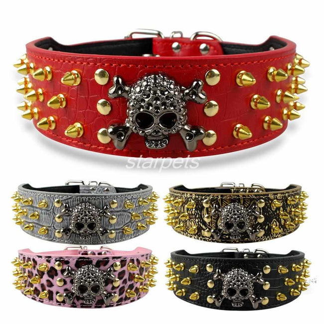 Gold Skull Spiked Dog Collars For Medium-Large Dog-collar and harness-Golonzo