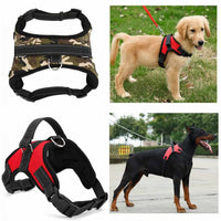 Saddle Dog Harness Belt-collar and harness-Golonzo