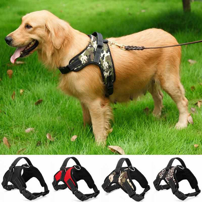 Saddle Dog Harness Belt-collar and harness-Golonzo
