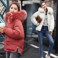 Full Slim Hair Cotton-padded Women Winter Jacket-Coats and Jackets-Golonzo