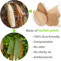 Natural Loofah Kitchen Sponge Organic-Sponges-Golonzo