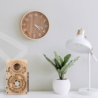 Old Time Camera Model Creative Mechanical Puzzles DIY-Toys-Golonzo