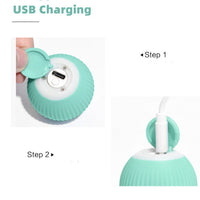 Smart Rolling Cats Toys - Cat lover toys-Cat Toys-Golonzo